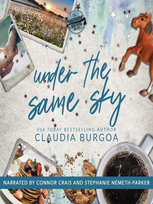 Title details for Under the Same Sky by Claudia Burgoa - Wait list